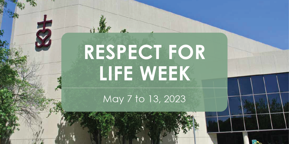 An image with the Catholic Education Centre in the background - Respect for Life Week - May 7 to 13, 2023